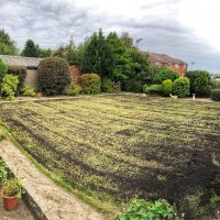 Re-seeding and Top-Dressing Lawns